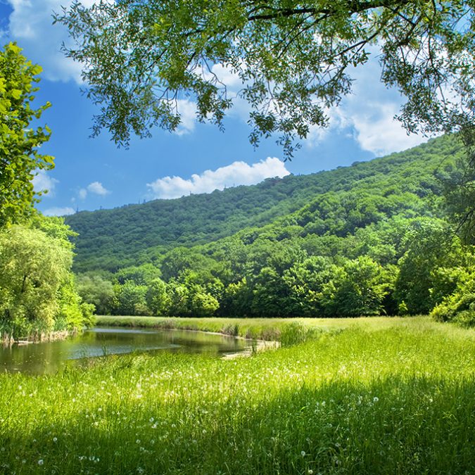 TOURRISME 2 675X675 | Auberge des 2 lacs Faire du tourisme dans les Vosges vers l’Alsace Ensisheim 1